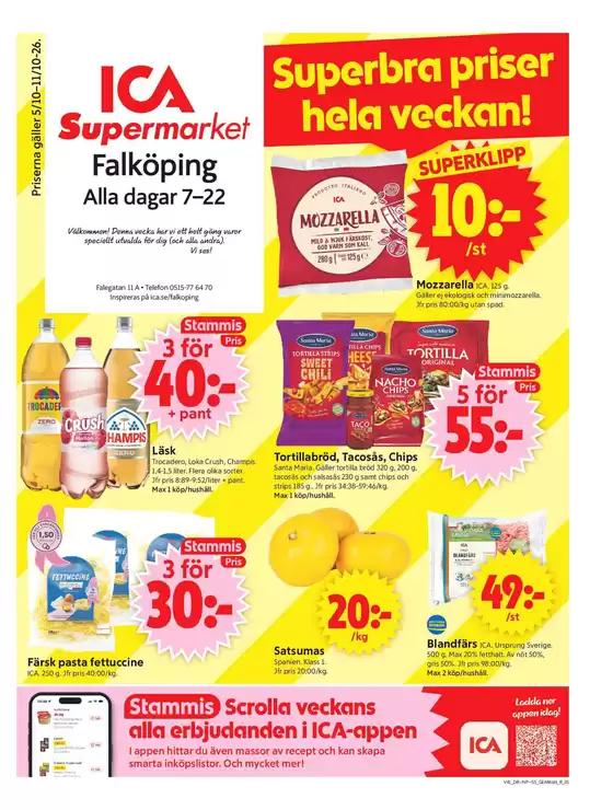 main_flyer image
