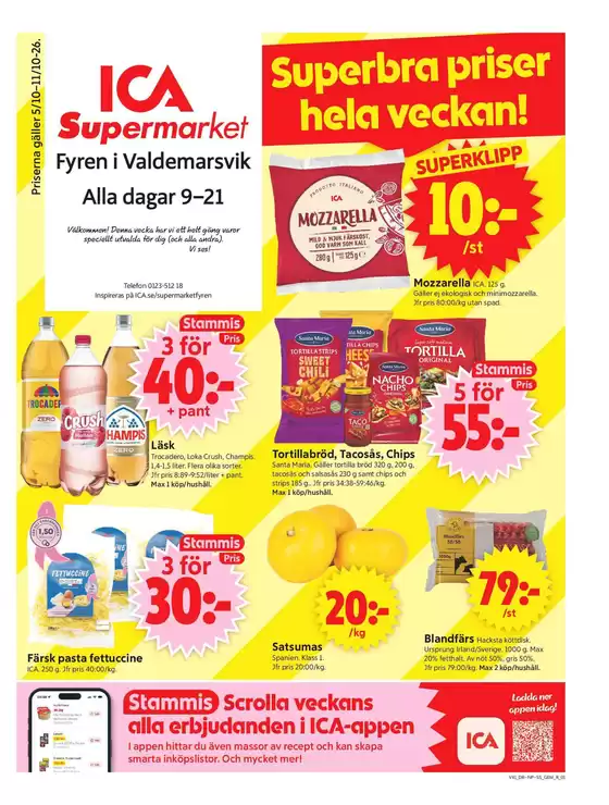 main_flyer image