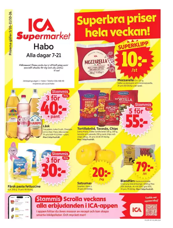 main_flyer image
