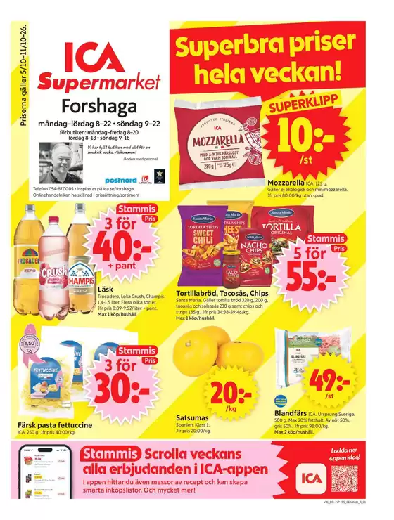main_flyer image