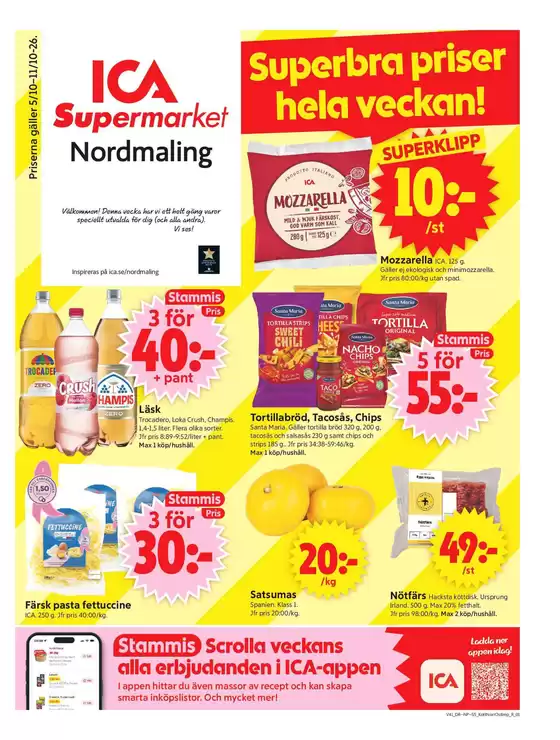 main_flyer image