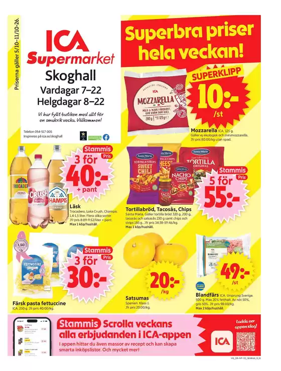 main_flyer image