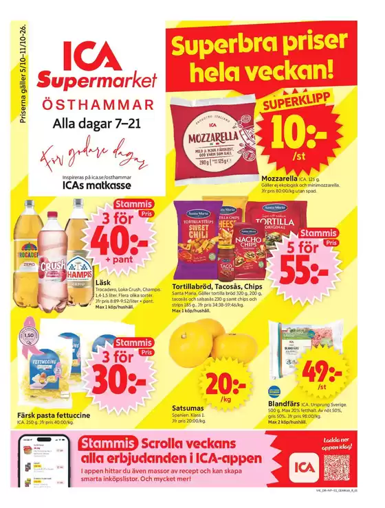 main_flyer image