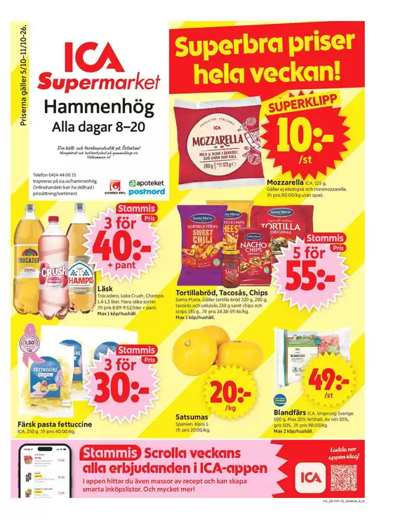 main_flyer image