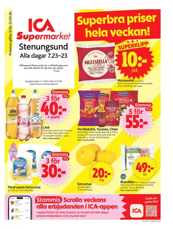 main_flyer image