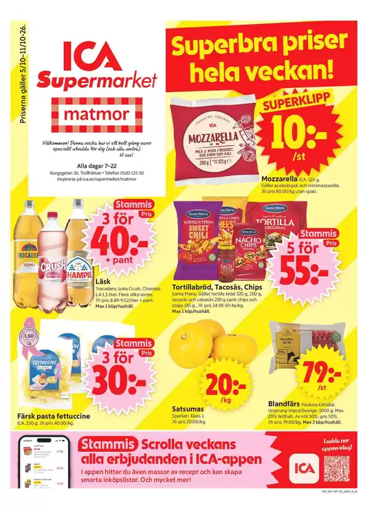 main_flyer image