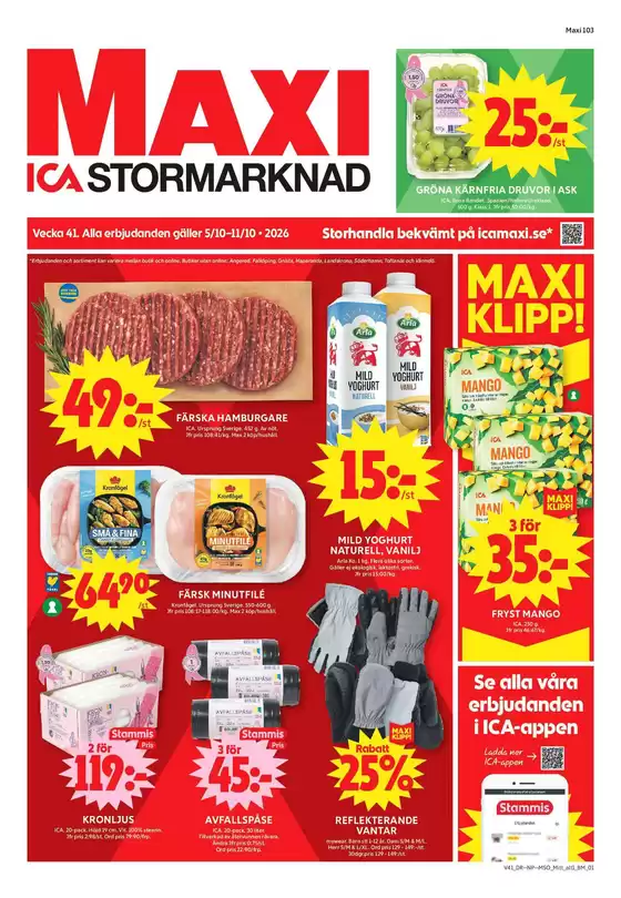 main_flyer image