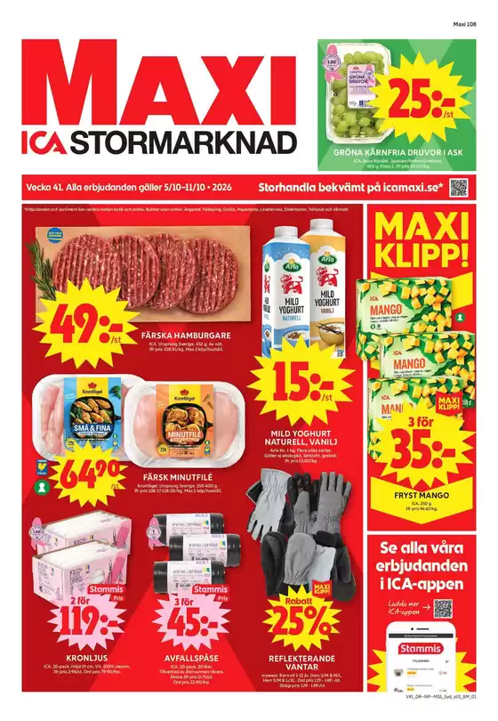 main_flyer image