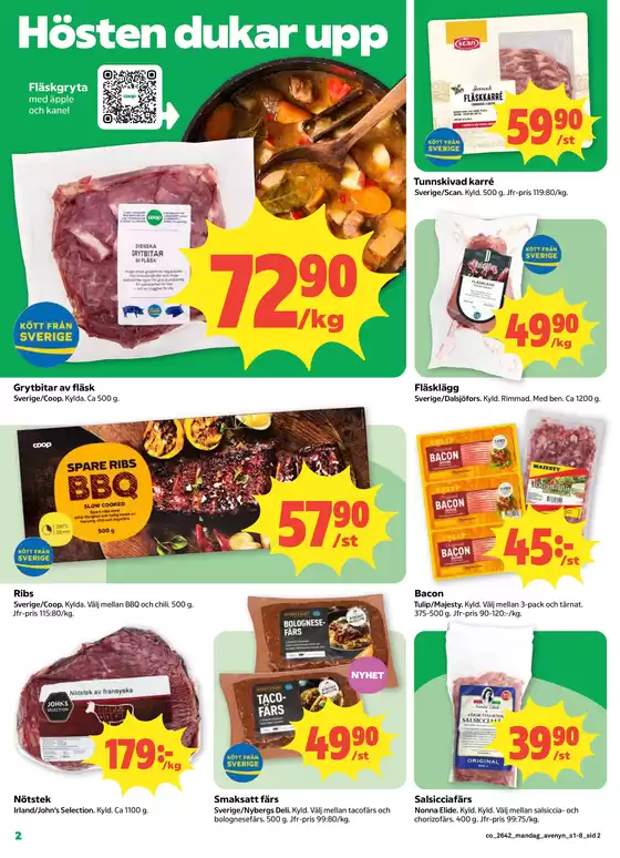 main_flyer image