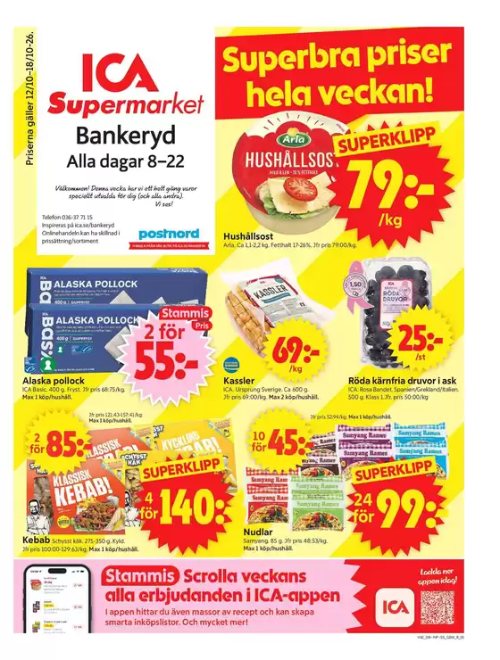main_flyer image