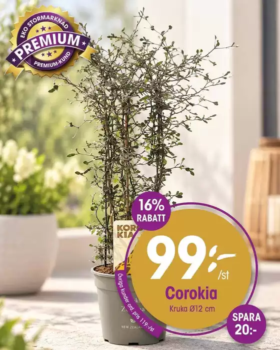 EKO-katalog | Rabatter och kampanjer | 2026-10-15T00:00:00.000Z - 2026-10-29T00:00:00.000Z