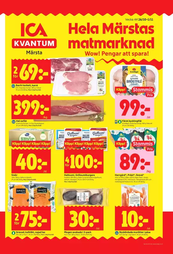 main_flyer image