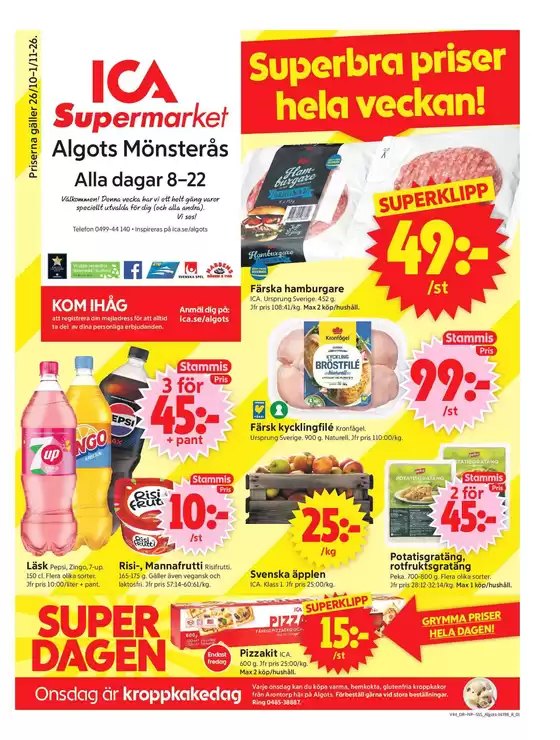 main_flyer image