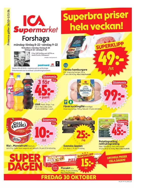 main_flyer image