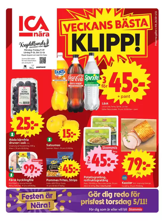 main_flyer image
