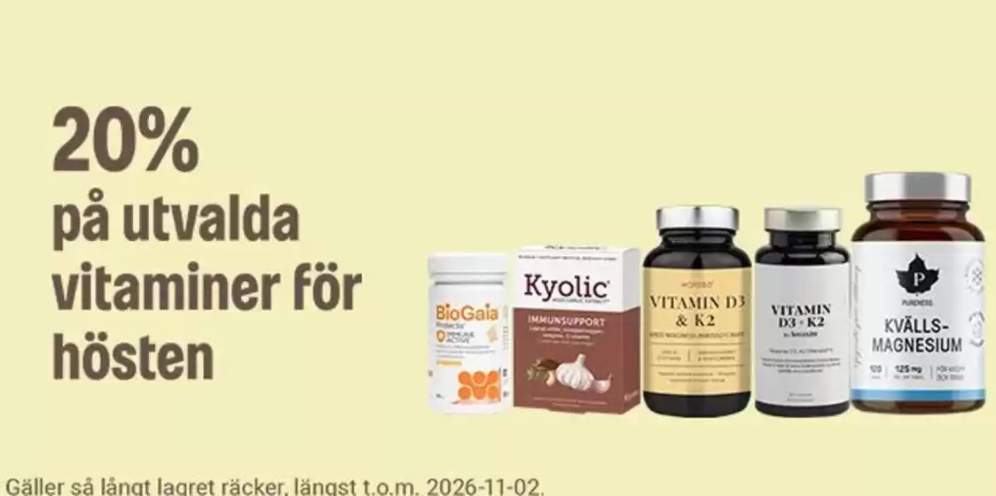 main_flyer image