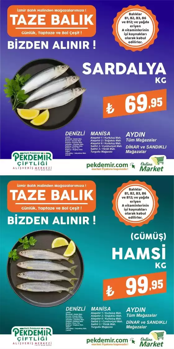 Pekdemir kataloğu, Orhangazi | Güncel fırsatlar ve teklifler | 2025-12-17T00:00:00.000Z - 2025-12-31T00:00:00.000Z