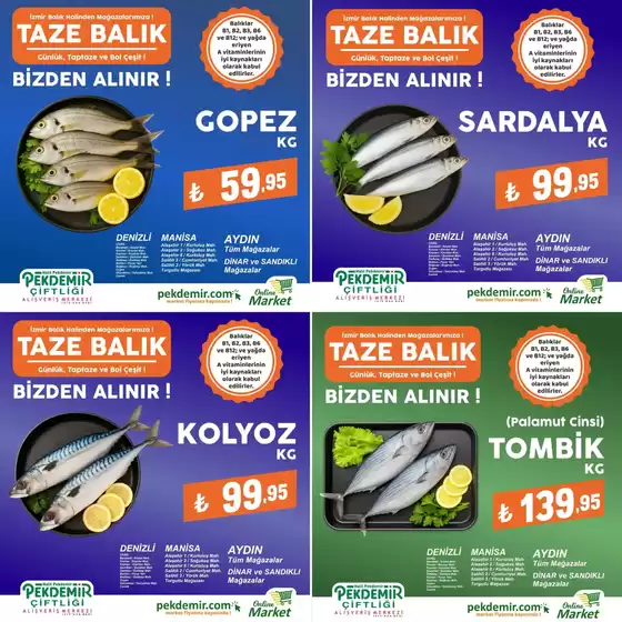 Pekdemir kataloğu, Denizli (Denizli) | Güncel fırsatlar ve teklifler | 2026-03-13T00:00:00.000Z - 2026-03-27T00:00:00.000Z