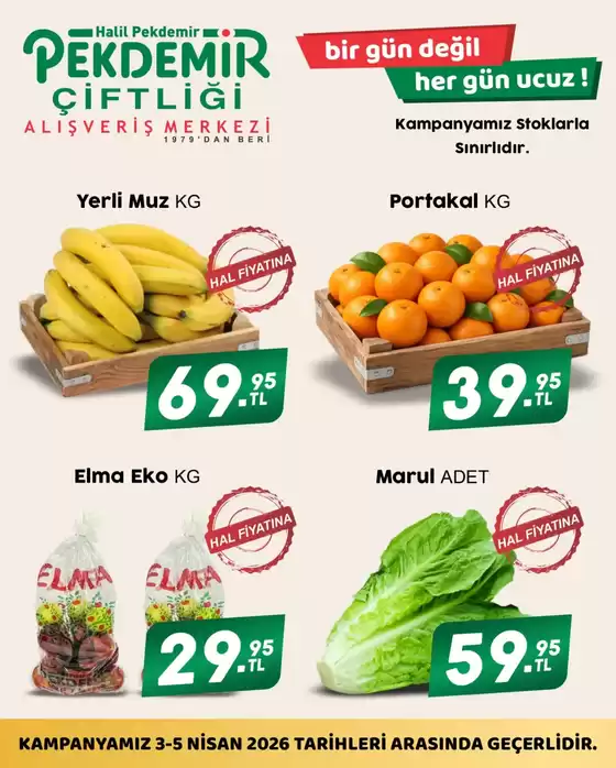 Pekdemir kataloğu | Pekdemir katalog | 2026-04-03T00:00:00.000Z - 2026-04-05T00:00:00.000Z