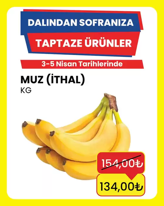 Özhan Market kataloğu | Güncel özel kampanyalar | 2026-04-03T00:00:00.000Z - 2026-04-05T00:00:00.000Z