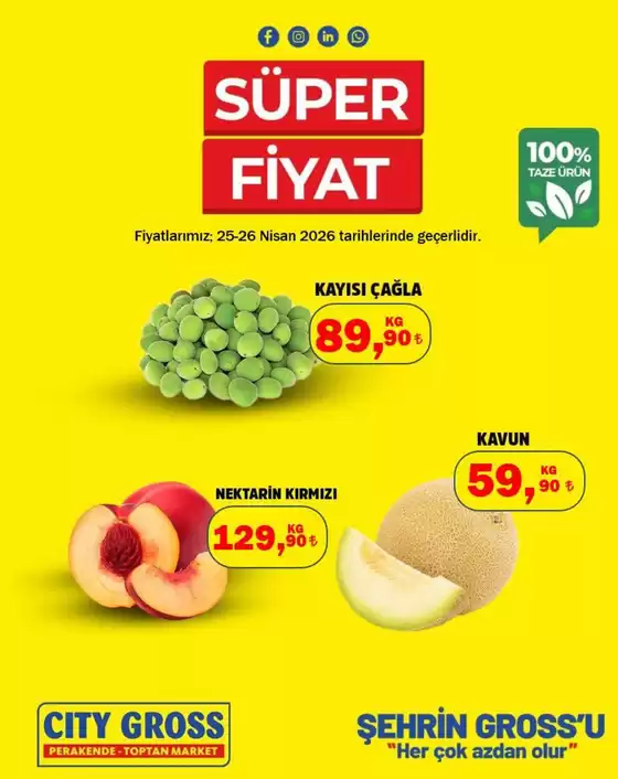 City Gross kataloğu, Koçyayla | Güncel fırsatlar ve teklifler | 2026-04-25T00:00:00.000Z - 2026-04-26T00:00:00.000Z