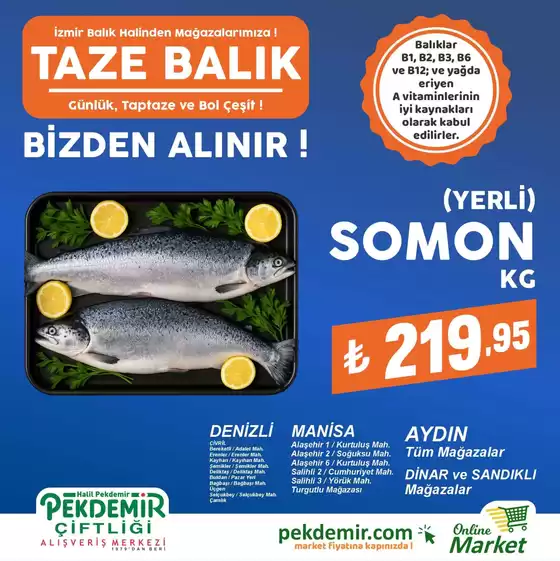Pekdemir kataloğu | Sizin için en iyi tekliflerimiz | 2026-06-11T00:00:00.000Z - 2026-06-25T00:00:00.000Z