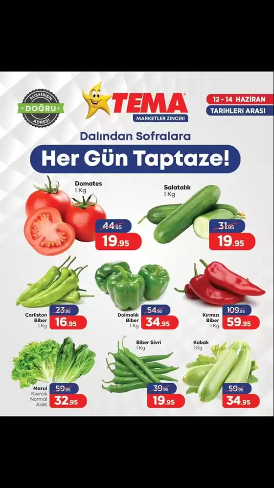 Tema Market kataloğu, Hanyolu | Oferta | 2026-06-12T00:00:00.000Z - 2026-06-14T00:00:00.000Z