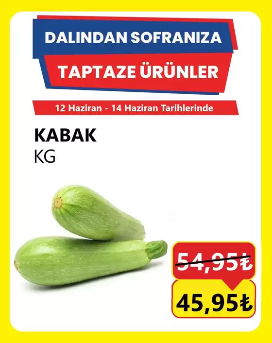 Özhan Market kataloğu | Fırsat avcıları için teklifler | 2026-06-12T00:00:00.000Z - 2026-06-14T00:00:00.000Z