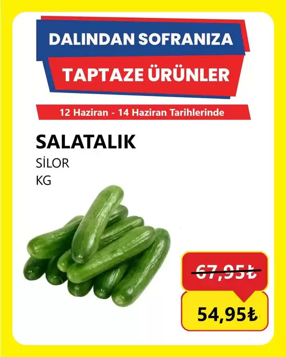 Özhan Market kataloğu | Sizin için en iyi tekliflerimiz | 2026-06-12T00:00:00.000Z - 2026-06-14T00:00:00.000Z