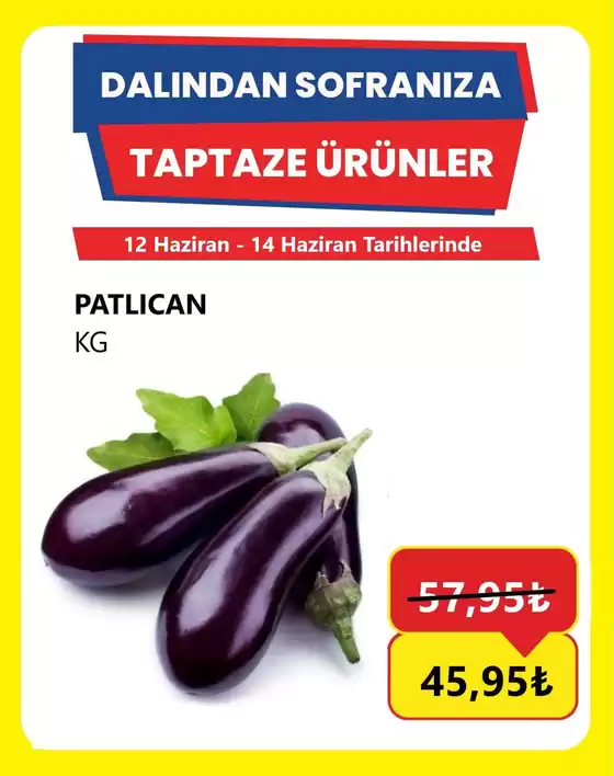 Özhan Market kataloğu | Fırsat avcıları için harika teklifler | 2026-06-12T00:00:00.000Z - 2026-06-14T00:00:00.000Z