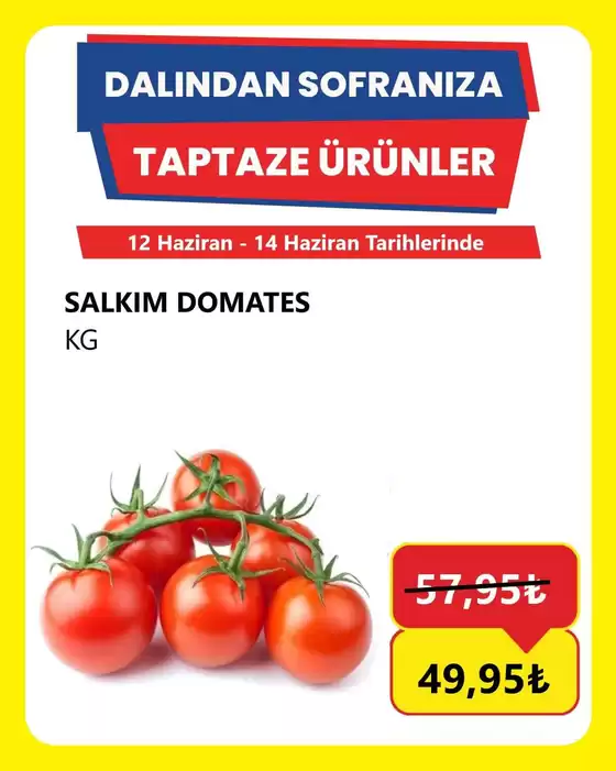 Özhan Market kataloğu | Cazip teklifleri keşfedin | 2026-06-12T00:00:00.000Z - 2026-06-14T00:00:00.000Z