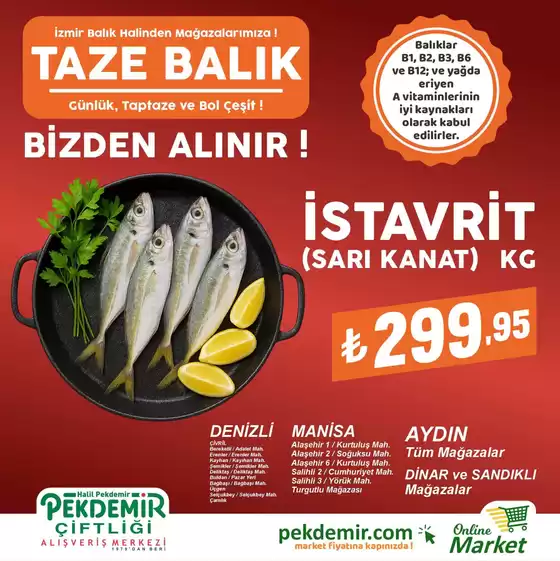 Pekdemir kataloğu | Pekdemir katalog | 2026-06-16T00:00:00.000Z - 2026-06-30T00:00:00.000Z