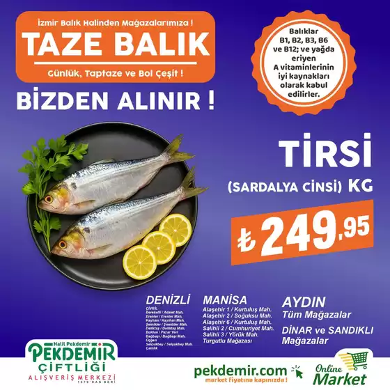 Pekdemir kataloğu | Tüm fırsat avcıları için en iyi teklifler | 2026-06-24T00:00:00.000Z - 2026-07-08T00:00:00.000Z