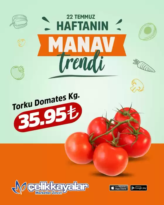 Çelikkayalar kataloğu | Oferta | 2026-07-22T00:00:00.000Z - 2026-07-22T00:00:00.000Z