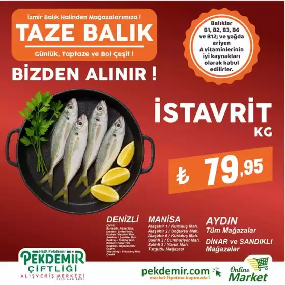 Pekdemir kataloğu | Tüm müşteriler için harika teklif | 2026-07-25T00:00:00.000Z - 2026-08-08T00:00:00.000Z