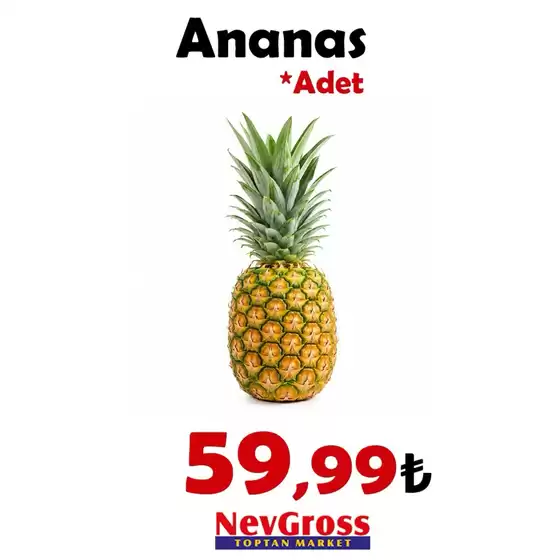 Nev Gross kataloğu | Oferta | 2026-07-28T00:00:00.000Z - 2026-07-28T00:00:00.000Z