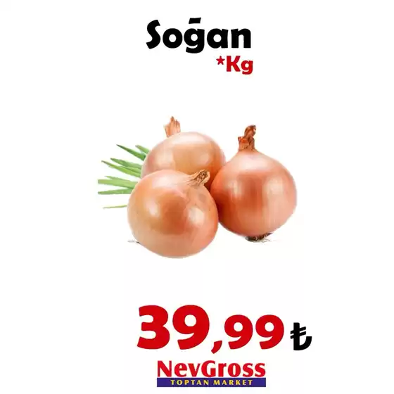 Nev Gross kataloğu | Oferta | 2026-07-30T00:00:00.000Z - 2026-07-30T00:00:00.000Z