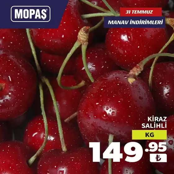 Mopaş kataloğu, Sapanca | Mopas katalog | 2026-07-31T00:00:00.000Z - 2026-07-31T00:00:00.000Z