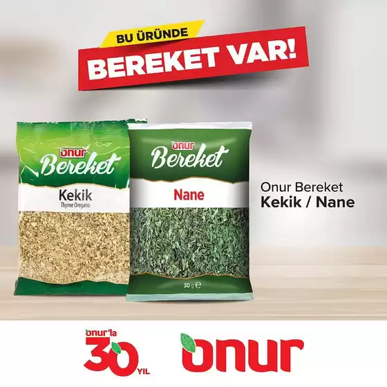 Onur Market kataloğu | Güncel fırsatlar ve teklifler | 2026-08-01T00:00:00.000Z - 2026-08-15T00:00:00.000Z