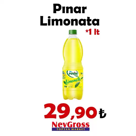 Nev Gross kataloğu | Oferta | 2026-08-04T00:00:00.000Z - 2026-08-09T00:00:00.000Z