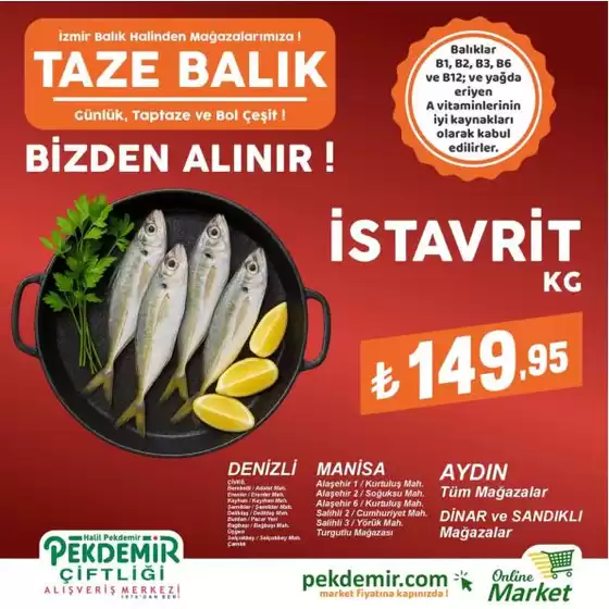 Pekdemir kataloğu | Şimdi fırsatlarımızla tasarruf edin | 2026-08-26T00:00:00.000Z - 2026-09-09T00:00:00.000Z