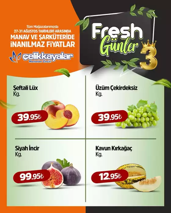 Çelikkayalar kataloğu | Oferta | 2026-08-27T00:00:00.000Z - 2026-08-31T00:00:00.000Z