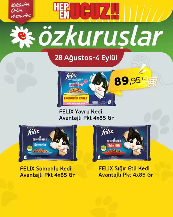Özkuruşlar kataloğu | Oferta | 2026-09-01T00:00:00.000Z - 2026-09-04T00:00:00.000Z