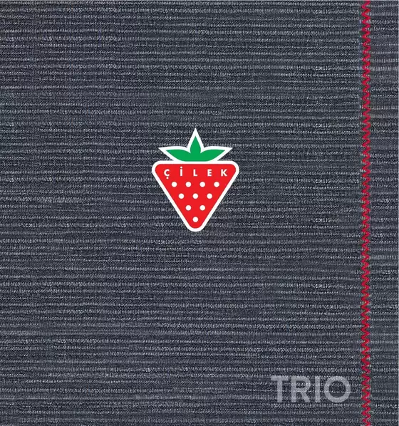 Çilek Mobilya kataloğu | Trio | 2026-09-01T00:00:00.000Z - 2026-09-15T00:00:00.000Z