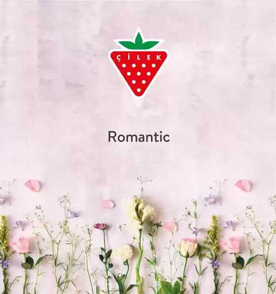 Çilek Mobilya kataloğu | Romantic | 2026-09-01T00:00:00.000Z - 2026-09-15T00:00:00.000Z