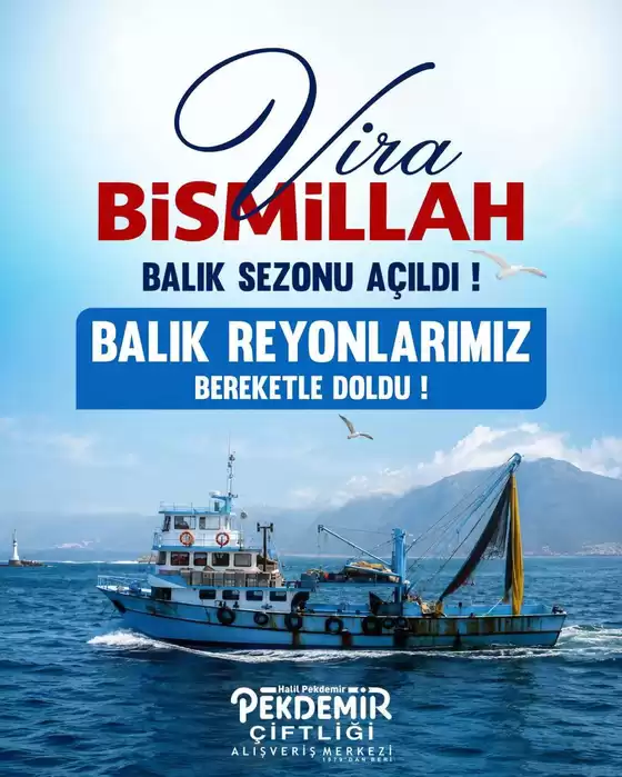 Pekdemir kataloğu | Özel fırsatlar ve indirimler | 2026-09-02T00:00:00.000Z - 2026-09-16T00:00:00.000Z