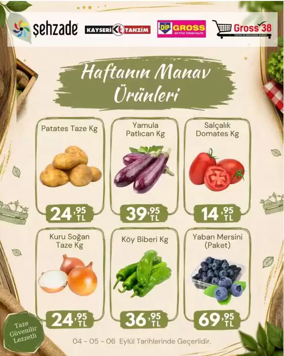 Şehzade kataloğu | Keşfedilecek yeni teklifler | 2026-09-04T00:00:00.000Z - 2026-09-06T00:00:00.000Z