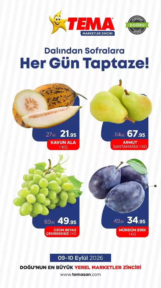 Tema Market kataloğu, Reyhanlı | Oferta | 2026-09-09T00:00:00.000Z - 2026-09-10T00:00:00.000Z