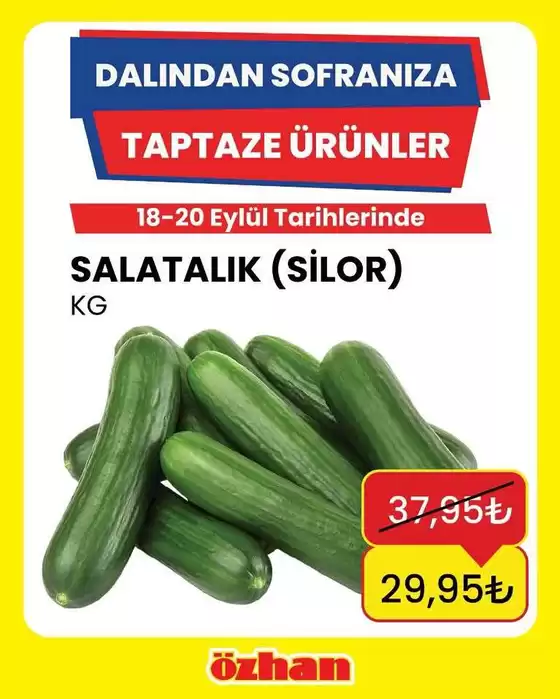 Özhan Market kataloğu | Sizin için özel teklifler | 2026-09-18T00:00:00.000Z - 2026-09-20T00:00:00.000Z