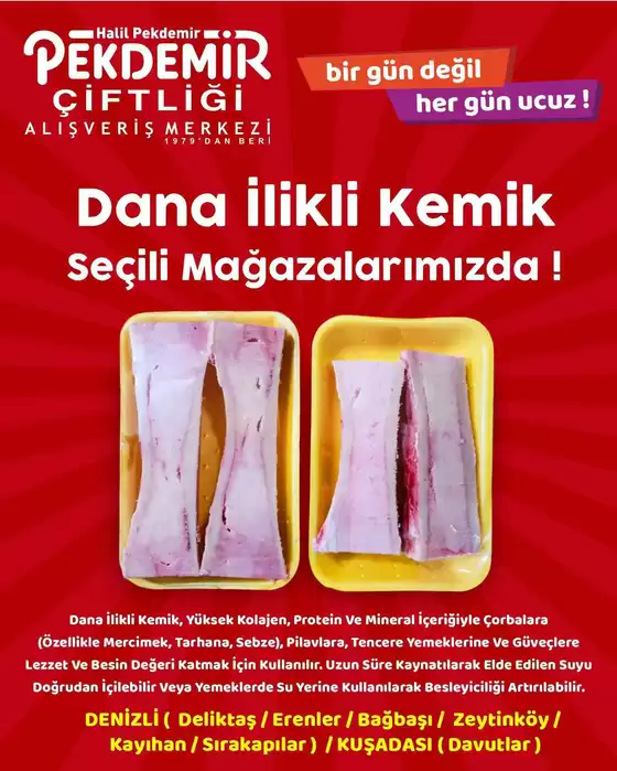 Pekdemir kataloğu | Cazip teklifleri keşfedin | 2026-09-20T00:00:00.000Z - 2026-10-04T00:00:00.000Z